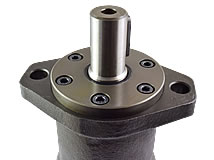 Detailansicht Hydraulikmotor (Zahnringmotor) Typ: OMP