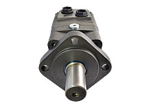 Detailansicht Langsamlaufender Hydraulikmotor Typ: OMS