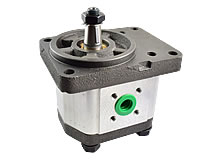 Zahnradmotor Zahnradmotor