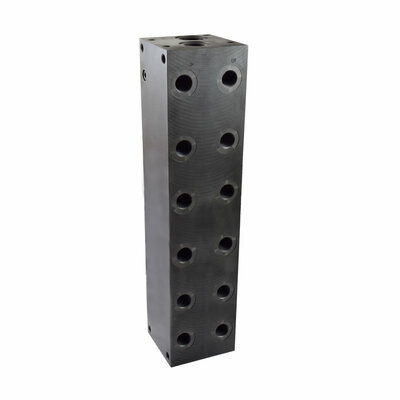 Mehrfachanschlussplatte, Nenngröße 10