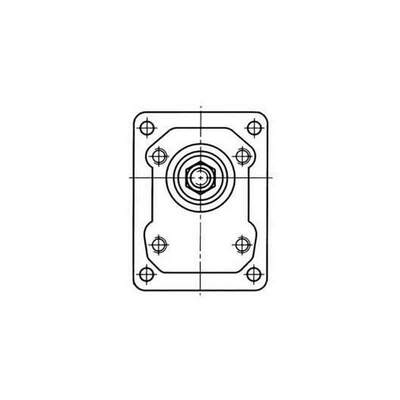 Technische Zeichnung Zahnradpumpe (italienischer Plessey-Flansch)